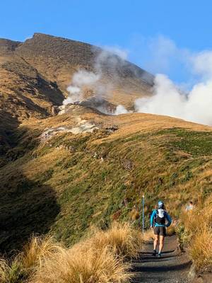 nz